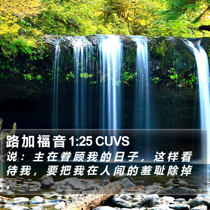 路 加 福 音 1:25 CUVS Bible Study