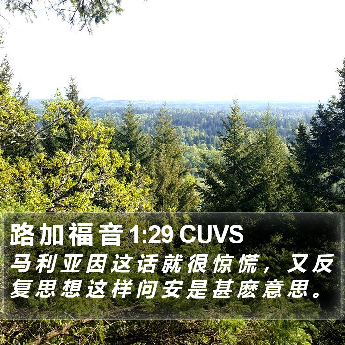 路 加 福 音 1:29 CUVS Bible Study