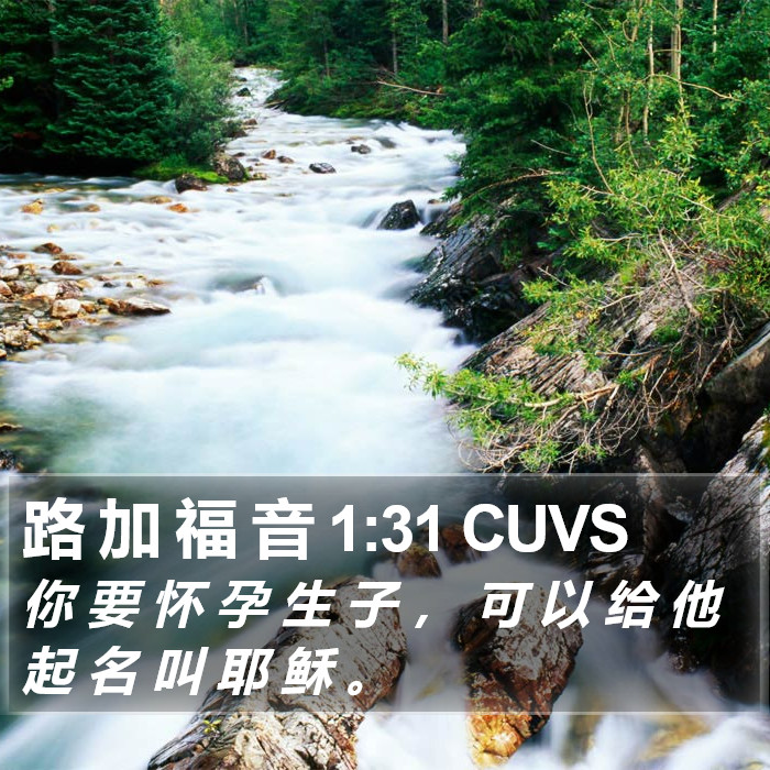 路 加 福 音 1:31 CUVS Bible Study