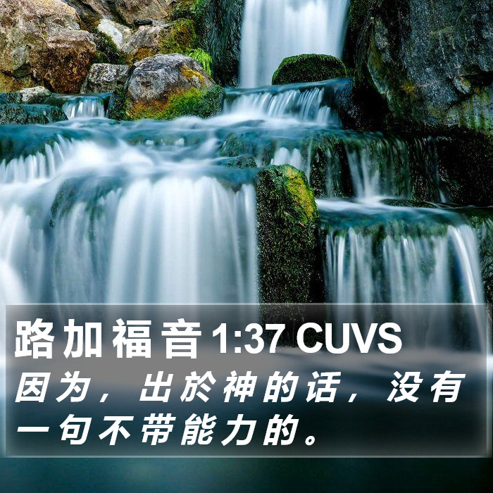 路 加 福 音 1:37 CUVS Bible Study