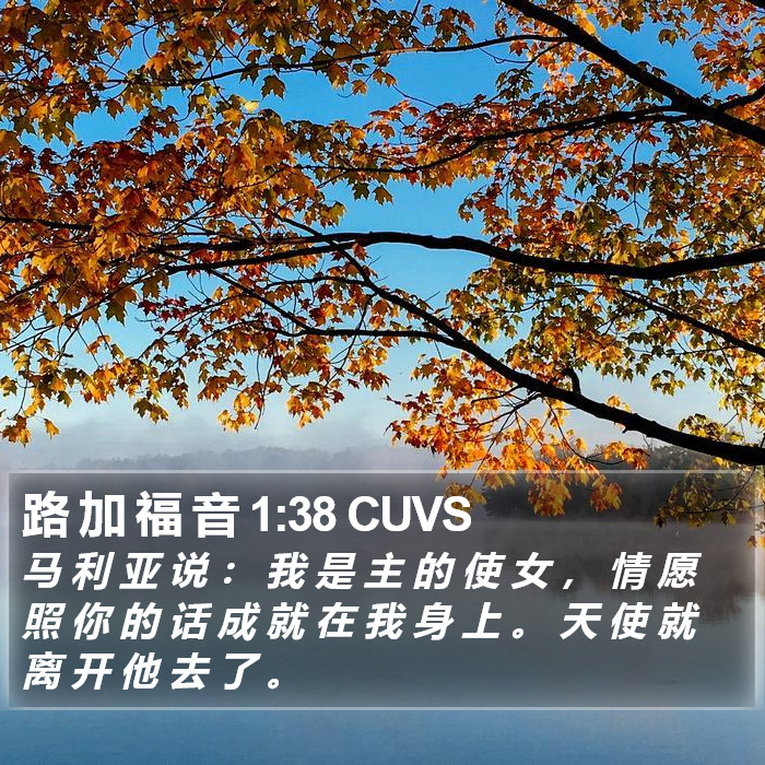 路 加 福 音 1:38 CUVS Bible Study