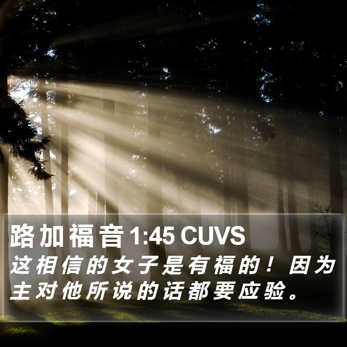 路 加 福 音 1:45 CUVS Bible Study