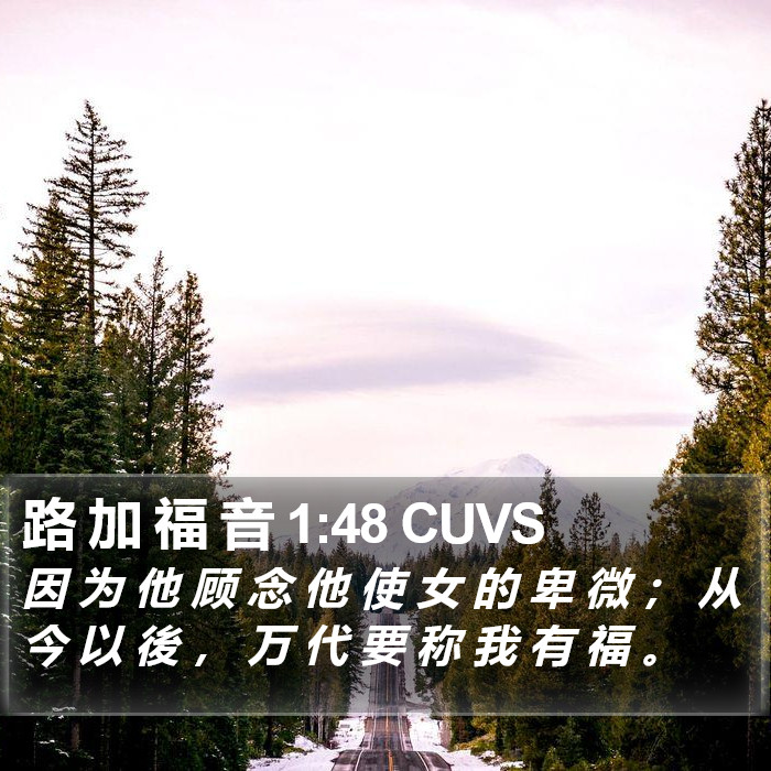 路 加 福 音 1:48 CUVS Bible Study