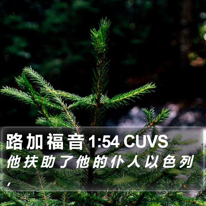 路 加 福 音 1:54 CUVS Bible Study