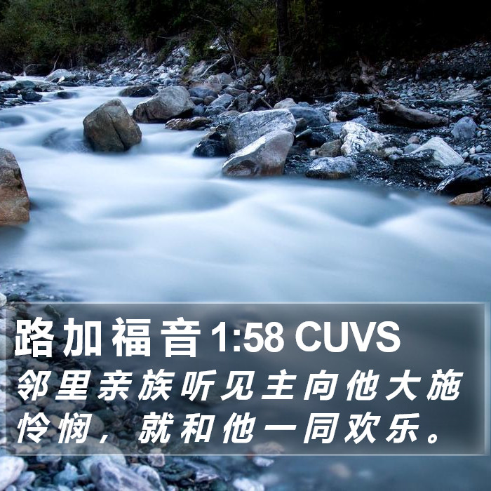 路 加 福 音 1:58 CUVS Bible Study