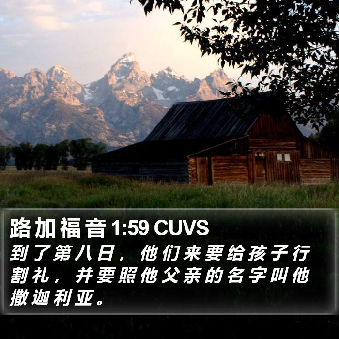 路 加 福 音 1:59 CUVS Bible Study