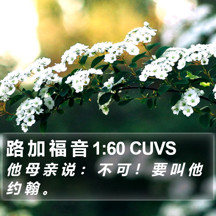 路 加 福 音 1:60 CUVS Bible Study