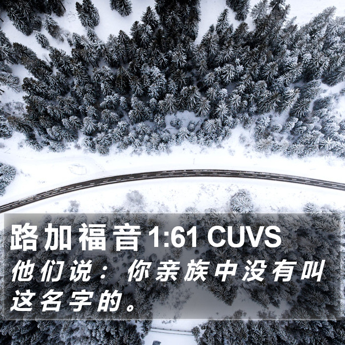 路 加 福 音 1:61 CUVS Bible Study