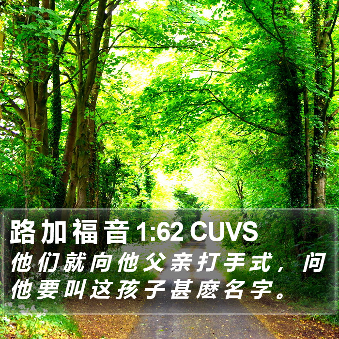 路 加 福 音 1:62 CUVS Bible Study