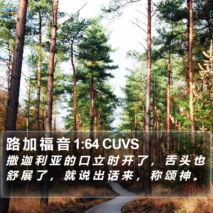 路 加 福 音 1:64 CUVS Bible Study