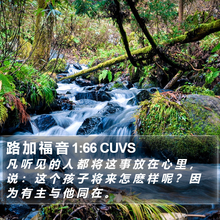 路 加 福 音 1:66 CUVS Bible Study