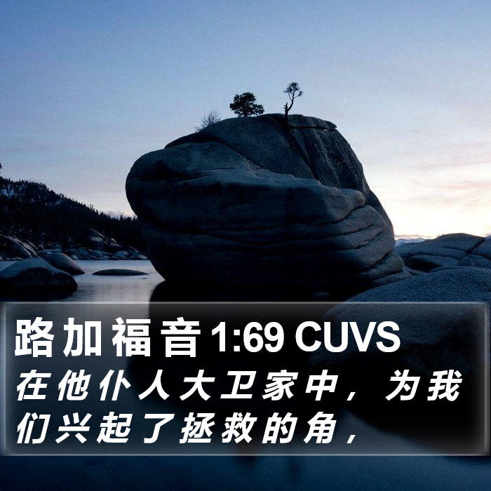 路 加 福 音 1:69 CUVS Bible Study