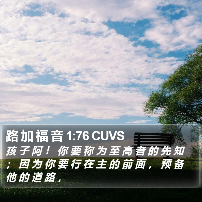 路 加 福 音 1:76 CUVS Bible Study