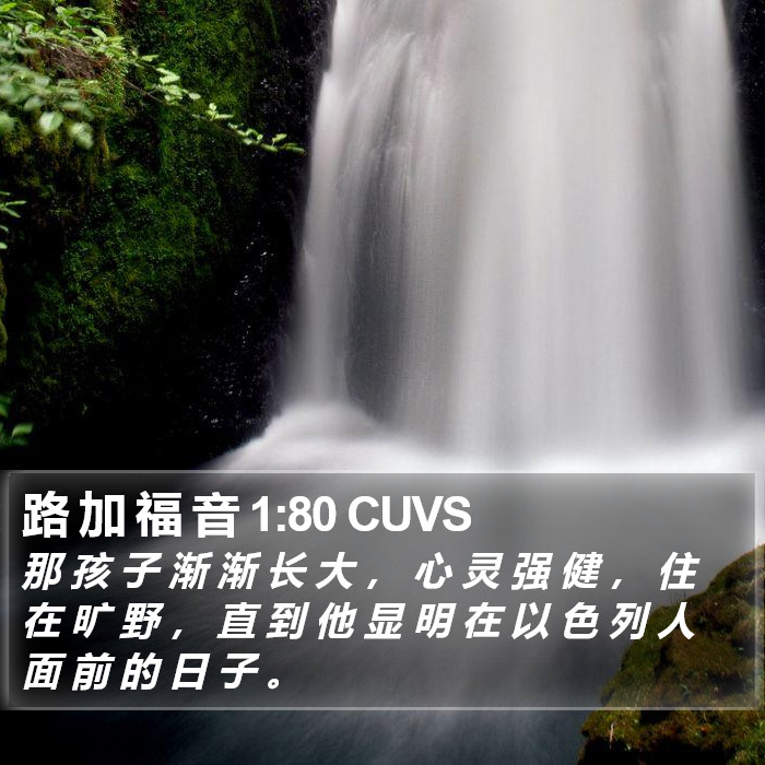 路 加 福 音 1:80 CUVS Bible Study