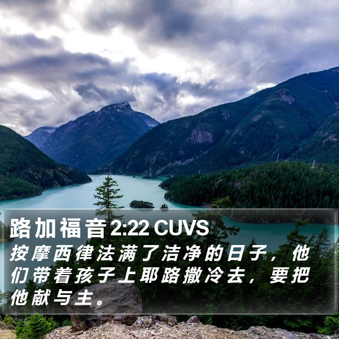 路 加 福 音 2:22 CUVS Bible Study