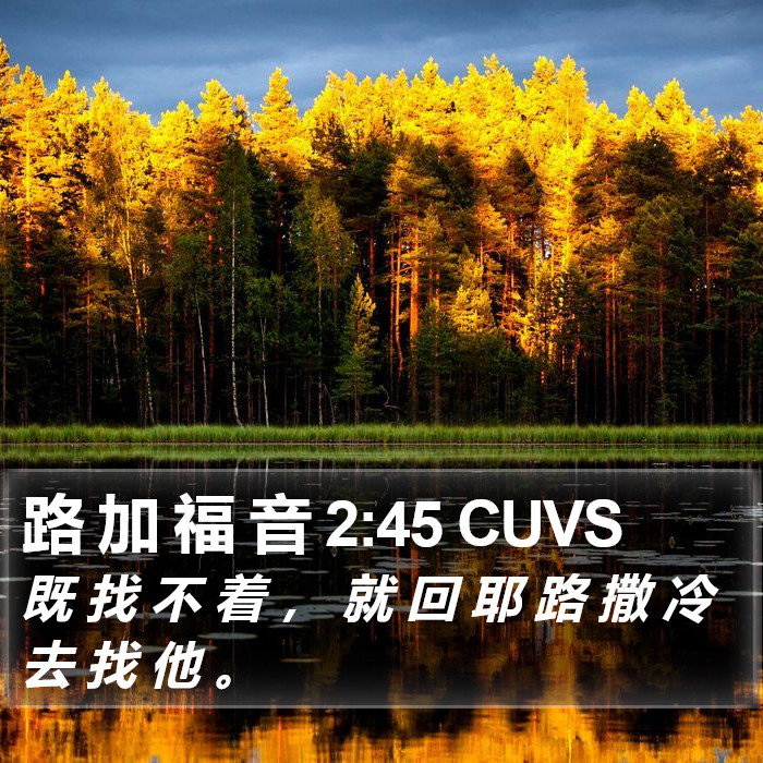 路 加 福 音 2:45 CUVS Bible Study