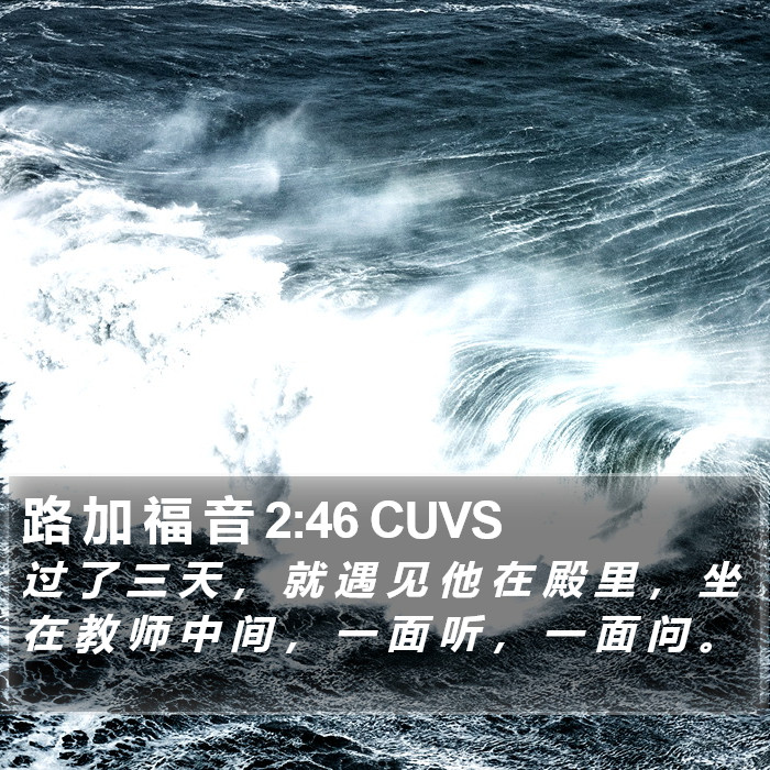 路 加 福 音 2:46 CUVS Bible Study
