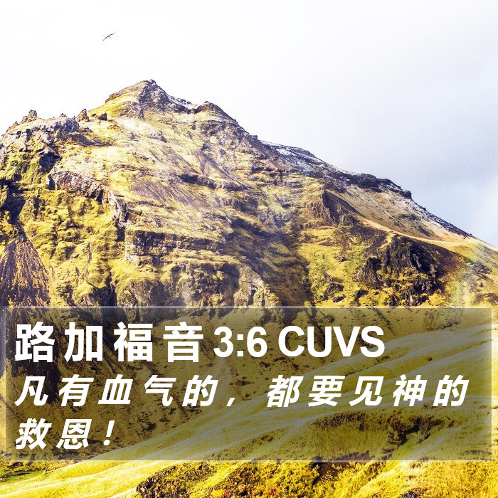 路 加 福 音 3:6 CUVS Bible Study