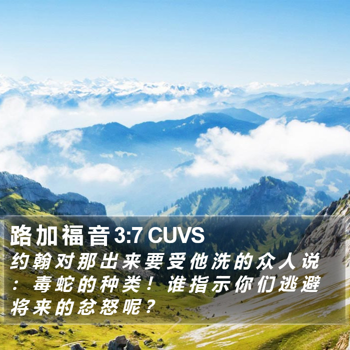 路 加 福 音 3:7 CUVS Bible Study