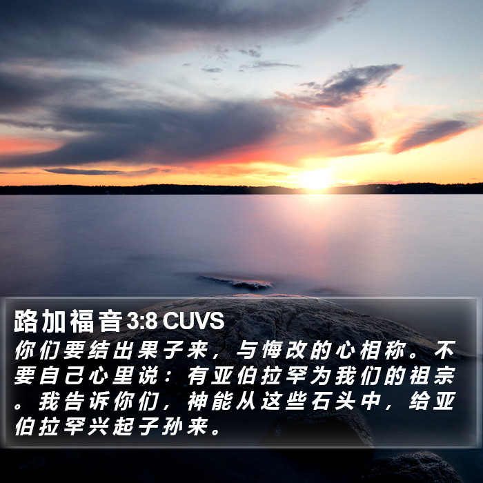 路 加 福 音 3:8 CUVS Bible Study