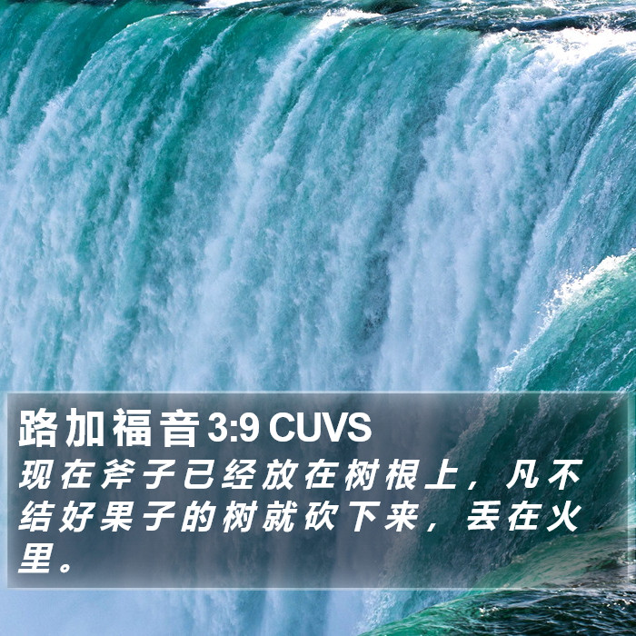 路 加 福 音 3:9 CUVS Bible Study