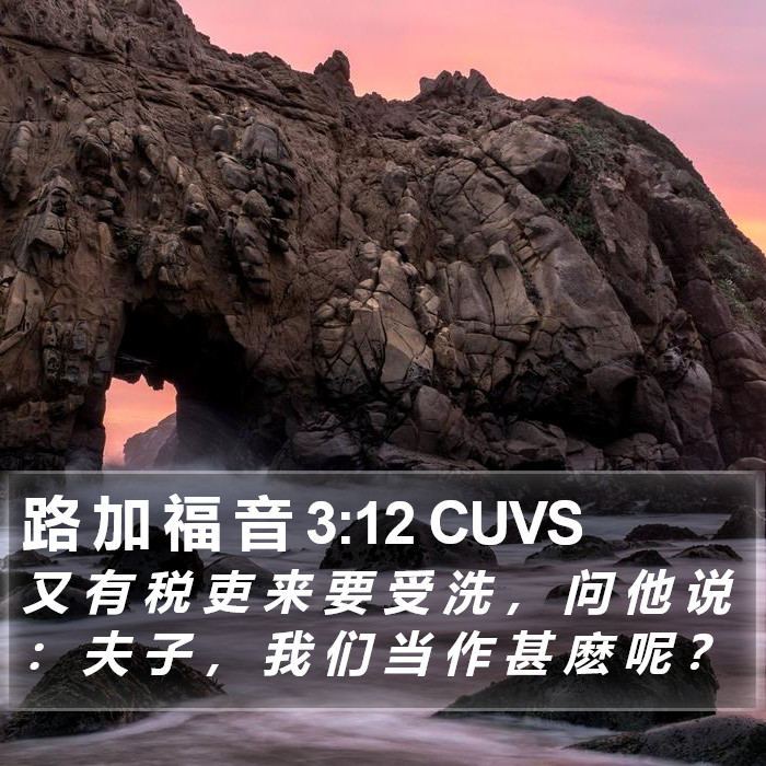 路 加 福 音 3:12 CUVS Bible Study