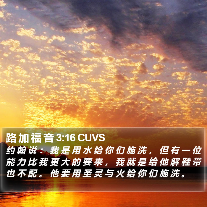 路 加 福 音 3:16 CUVS Bible Study