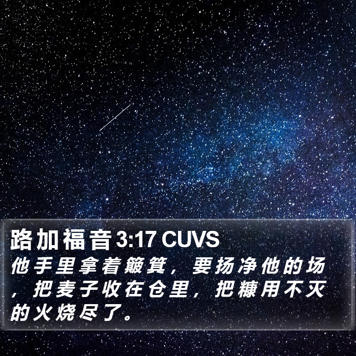 路 加 福 音 3:17 CUVS Bible Study