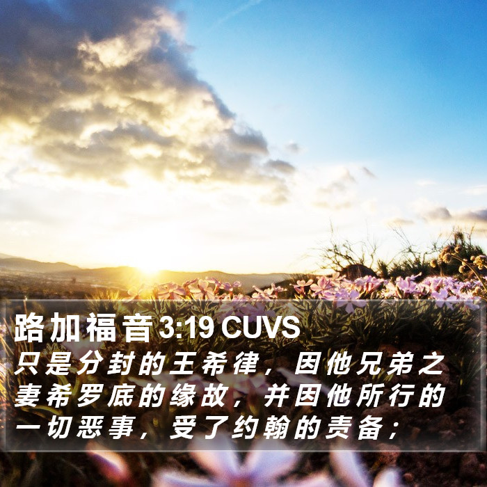 路 加 福 音 3:19 CUVS Bible Study