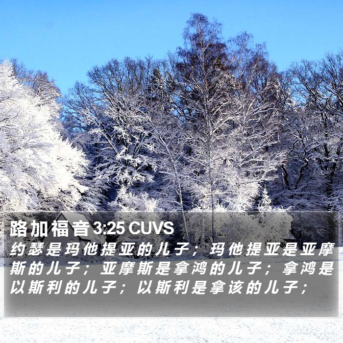 路 加 福 音 3:25 CUVS Bible Study