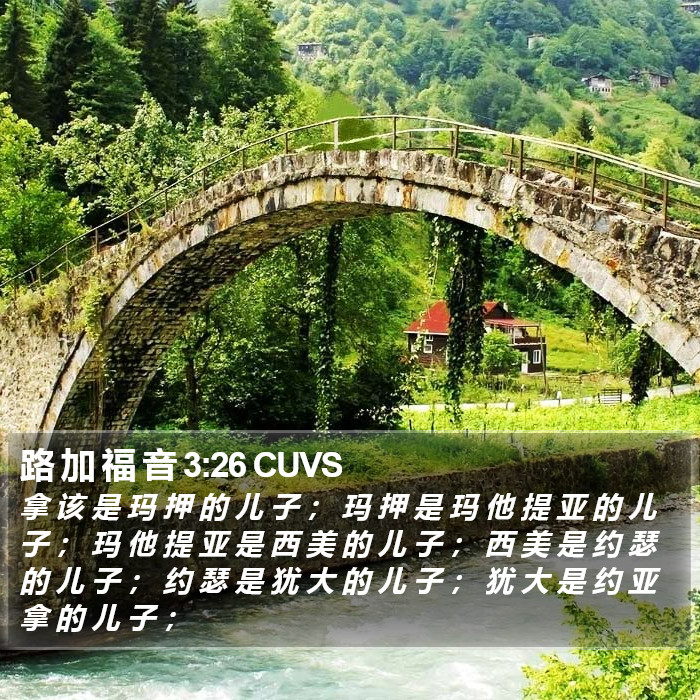 路 加 福 音 3:26 CUVS Bible Study
