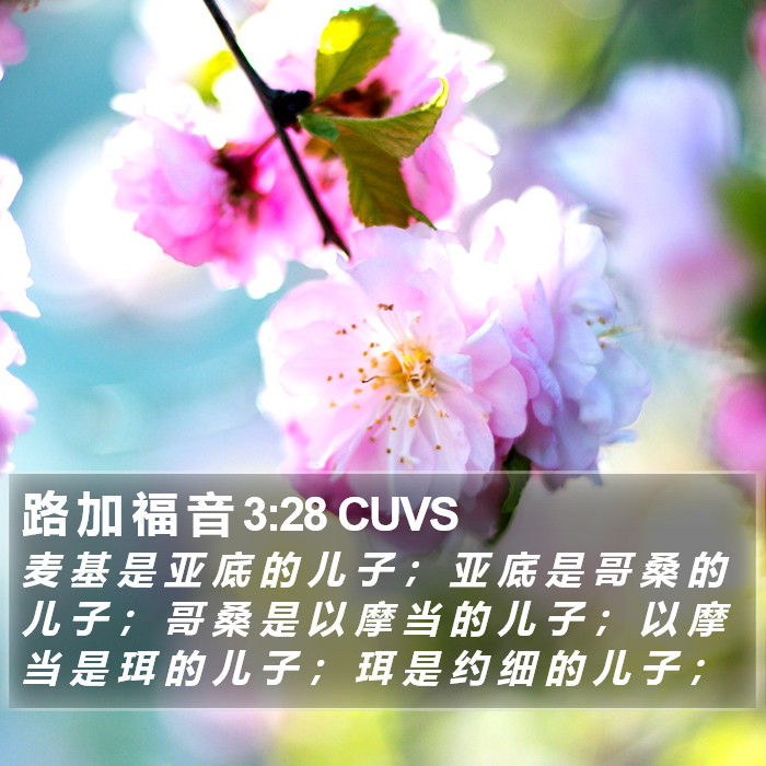 路 加 福 音 3:28 CUVS Bible Study