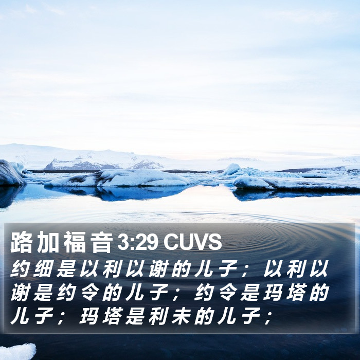 路 加 福 音 3:29 CUVS Bible Study