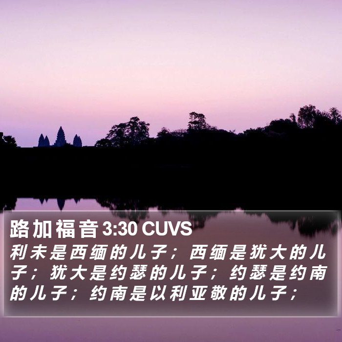 路 加 福 音 3:30 CUVS Bible Study