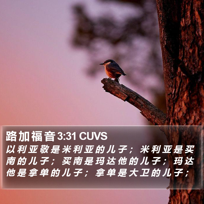 路 加 福 音 3:31 CUVS Bible Study