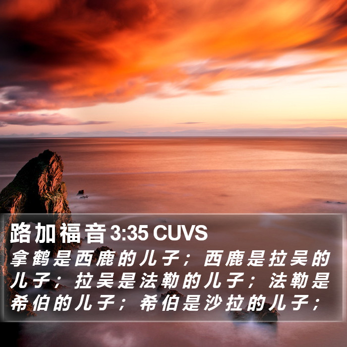 路 加 福 音 3:35 CUVS Bible Study