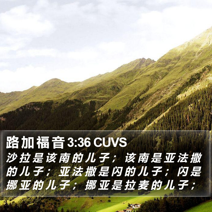 路 加 福 音 3:36 CUVS Bible Study
