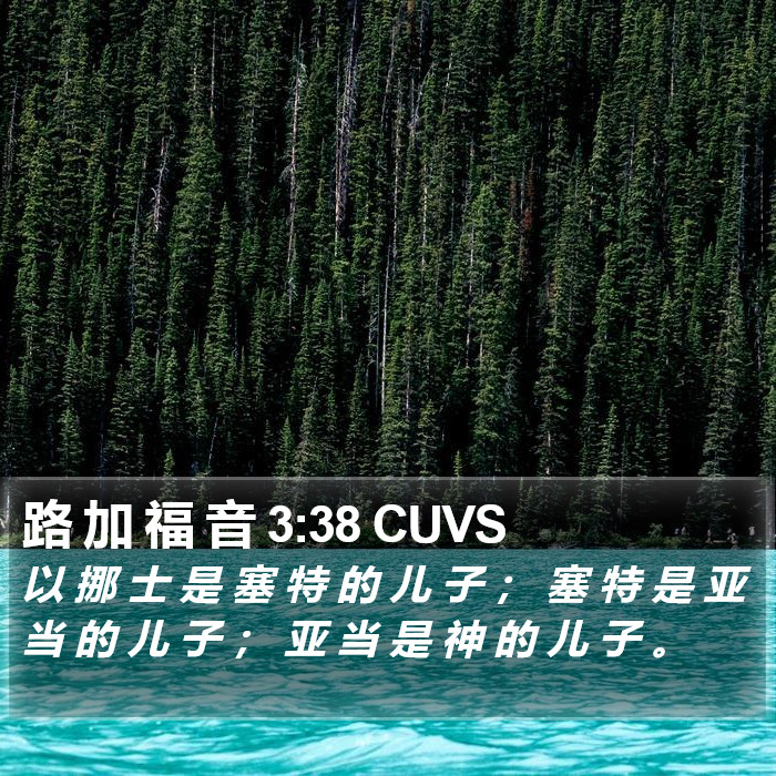 路 加 福 音 3:38 CUVS Bible Study