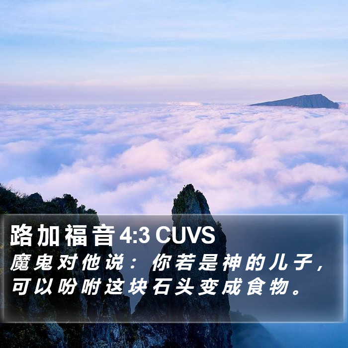 路 加 福 音 4:3 CUVS Bible Study