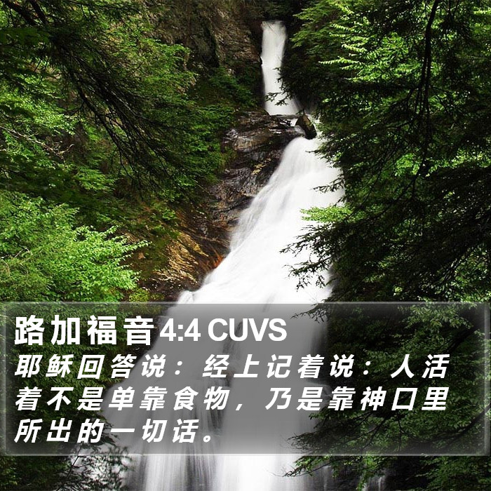 路 加 福 音 4:4 CUVS Bible Study