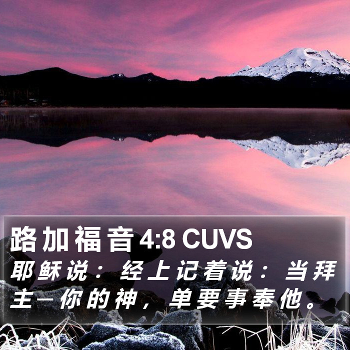 路 加 福 音 4:8 CUVS Bible Study