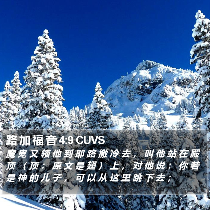 路 加 福 音 4:9 CUVS Bible Study