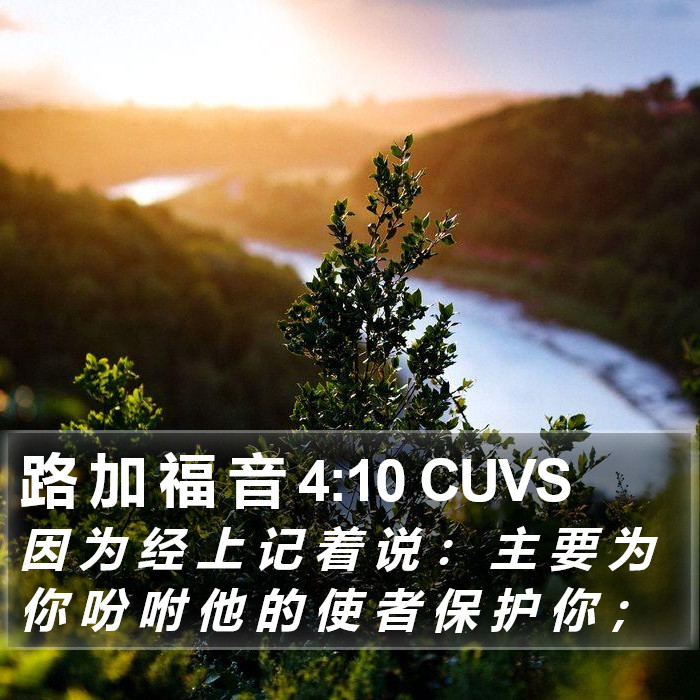 路 加 福 音 4:10 CUVS Bible Study