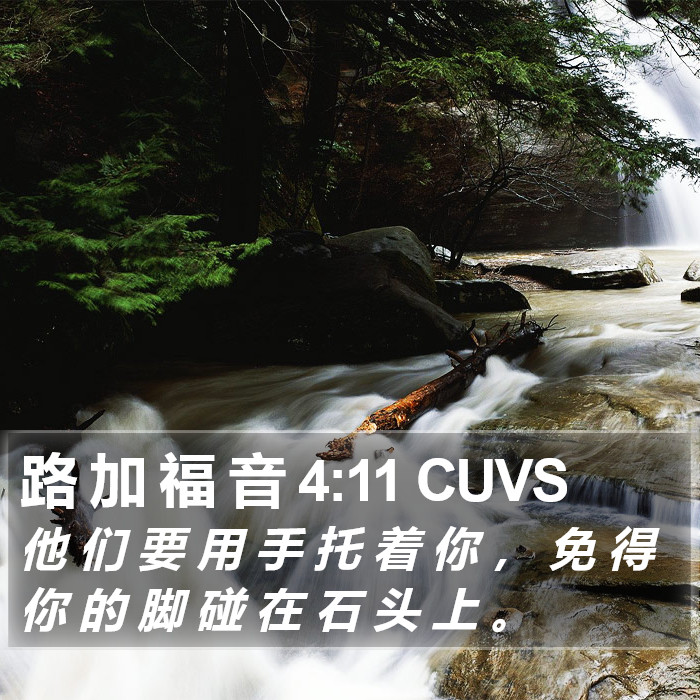 路 加 福 音 4:11 CUVS Bible Study