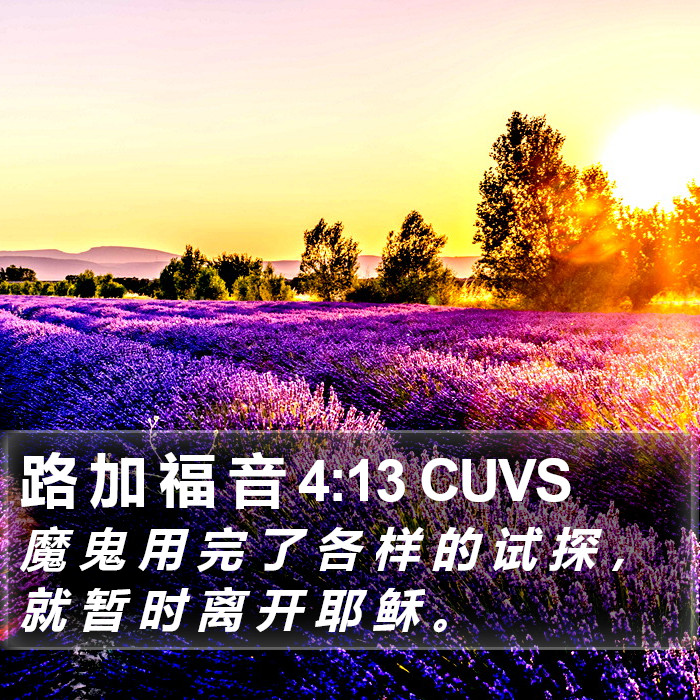 路 加 福 音 4:13 CUVS Bible Study