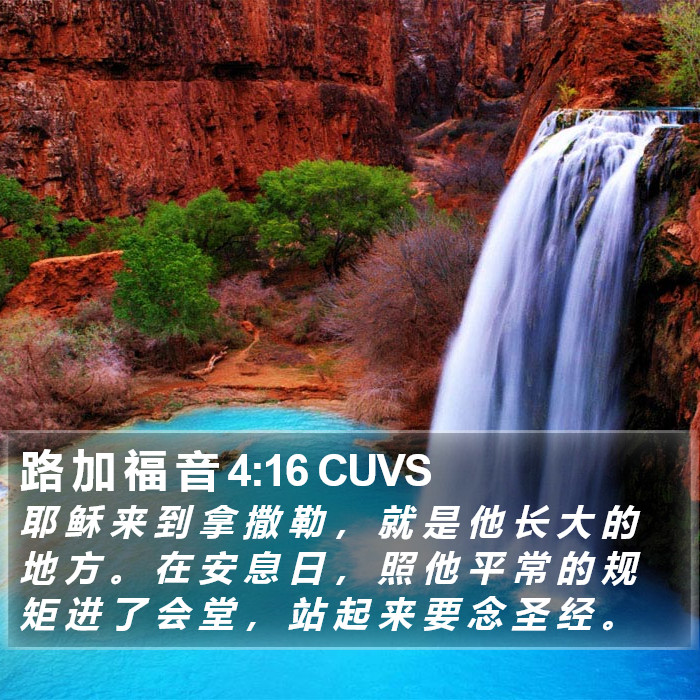 路 加 福 音 4:16 CUVS Bible Study