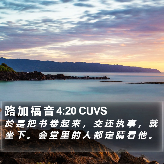 路 加 福 音 4:20 CUVS Bible Study