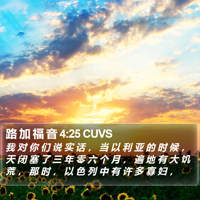 路 加 福 音 4:25 CUVS Bible Study