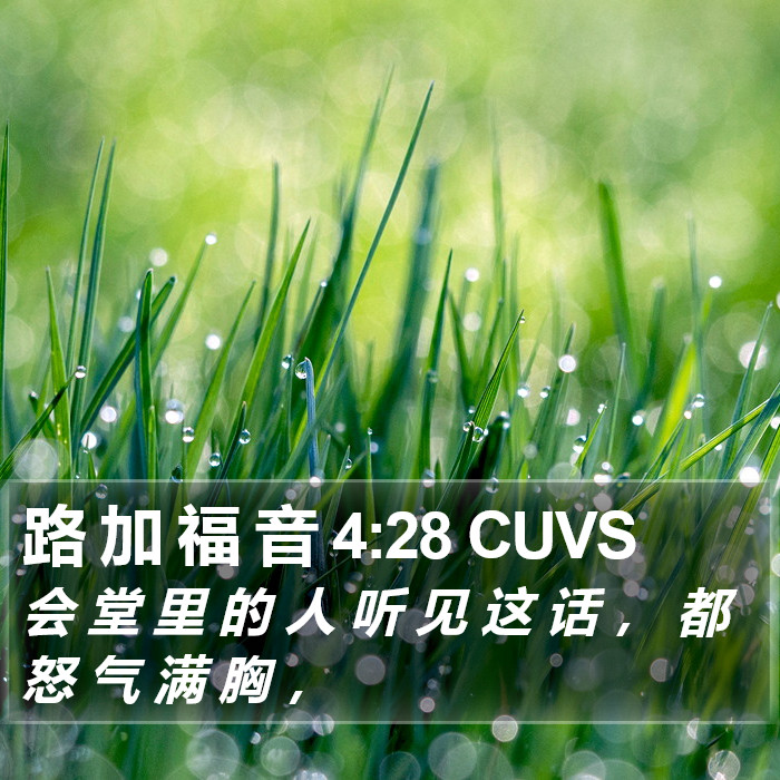 路 加 福 音 4:28 CUVS Bible Study