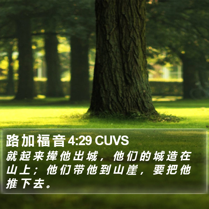 路 加 福 音 4:29 CUVS Bible Study